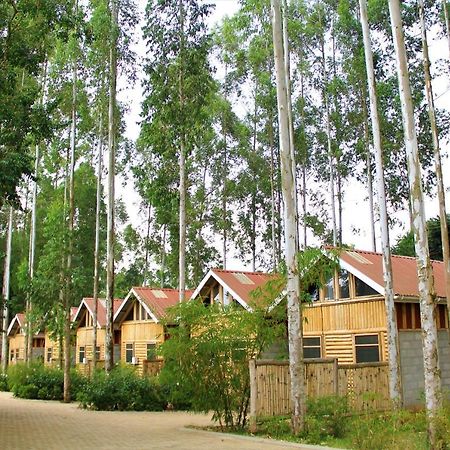 Hôtel The Great Outdoors Uganda à Vumba Extérieur photo