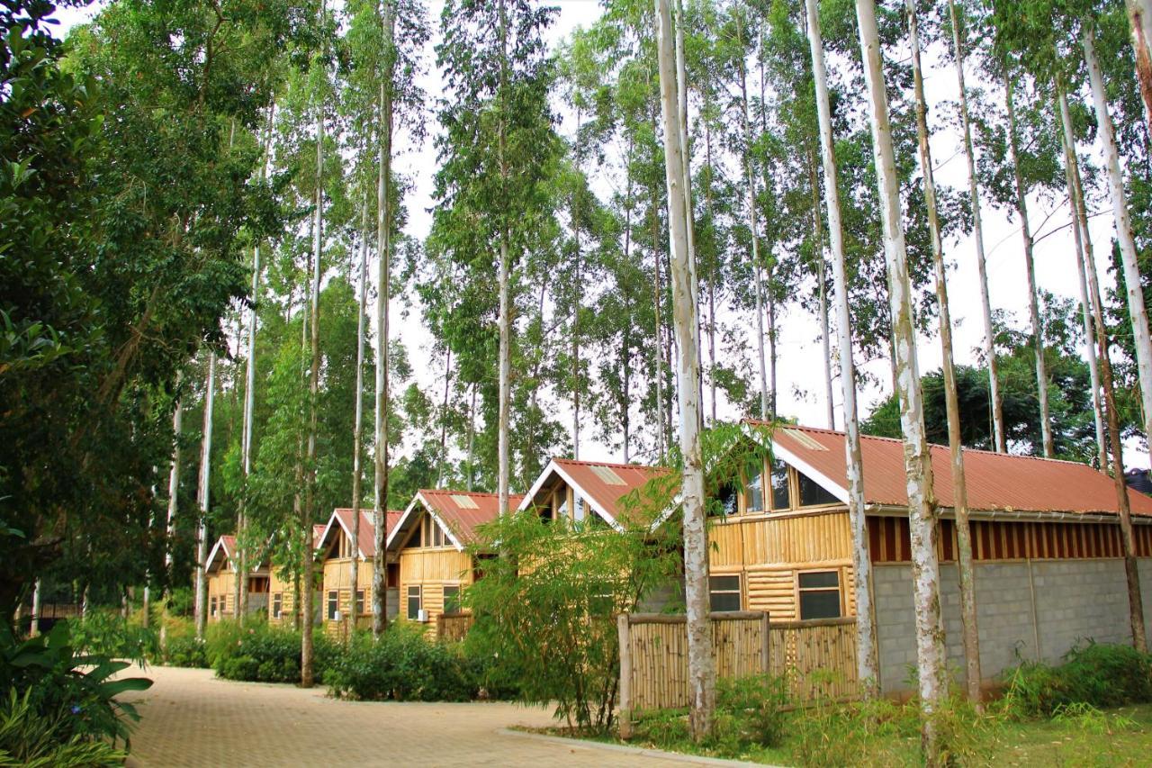 Hôtel The Great Outdoors Uganda à Vumba Extérieur photo